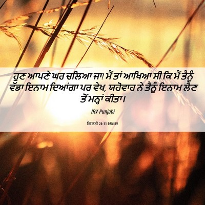 Picture 06 - ਗਿਣਤੀ 24:11 PANIRV - ਹੁਣ ਆਪਣੇ ਘਰ ਚਲਿਆ - Bible Verse Picture