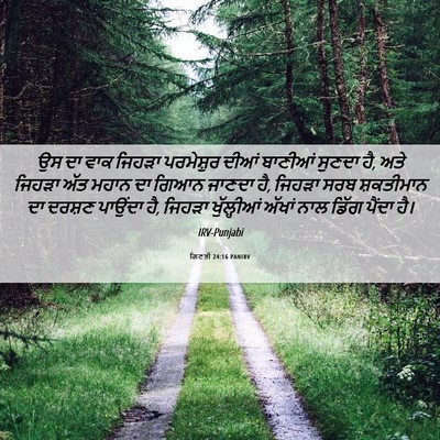 Picture 06 - ਗਿਣਤੀ 24:16 PANIRV - ਉਸ ਦਾ ਵਾਕ ਜਿਹੜਾ - Bible Verse Picture