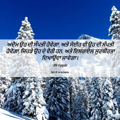 Picture 06 - ਗਿਣਤੀ 24:18 PANIRV - ਅਦੋਮ ਉਹ ਦੀ ਸੰਪਤੀ - Bible Verse Picture