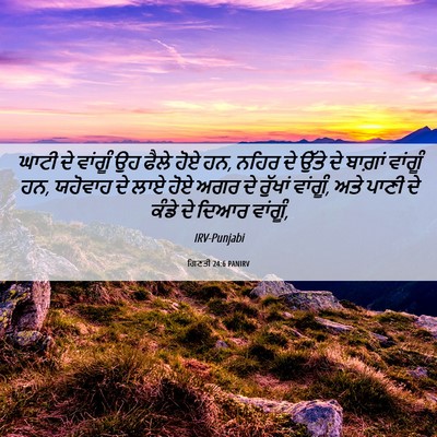 Picture 06 - ਗਿਣਤੀ 24:6 PANIRV - ਘਾਟੀ ਦੇ ਵਾਂਗੂੰ ਉਹ - Bible Verse Picture