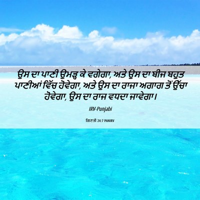 Picture 06 - ਗਿਣਤੀ 24:7 PANIRV - ਉਸ ਦਾ ਪਾਣੀ ਉਮੜ੍ਹ ਕੇ - Bible Verse Picture