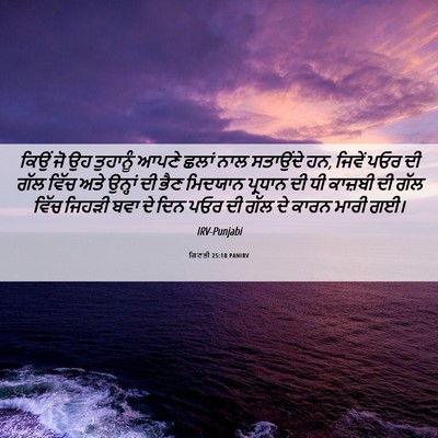 Picture 06 - ਗਿਣਤੀ 25:18 PANIRV - ਕਿਉਂ ਜੋ ਉਹ ਤੁਹਾਨੂੰ - Bible Verse Picture