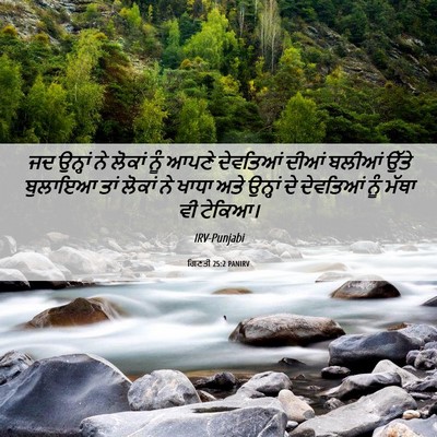 Picture 06 - ਗਿਣਤੀ 25:2 PANIRV - ਜਦ ਉਨ੍ਹਾਂ ਨੇ ਲੋਕਾਂ - Bible Verse Picture