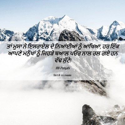 Picture 06 - ਗਿਣਤੀ 25:5 PANIRV - ਤਾਂ ਮੂਸਾ ਨੇ ਇਸਰਾਏਲ - Bible Verse Picture