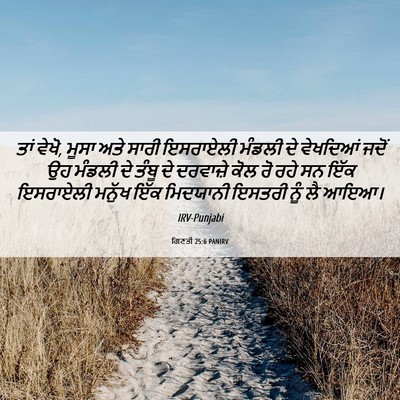 Picture 06 - ਗਿਣਤੀ 25:6 PANIRV - ਤਾਂ ਵੇਖੋ, ਮੂਸਾ ਅਤੇ - Bible Verse Picture