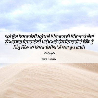 Picture 06 - ਗਿਣਤੀ 25:8 PANIRV - ਅਤੇ ਉਸ ਇਸਰਾਏਲੀ - Bible Verse Picture