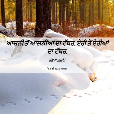 Picture 06 - ਗਿਣਤੀ 26:16 PANIRV - ਆਜ਼ਨੀ ਤੋਂ ਆਜ਼ਨੀਆਂ - Bible Verse Picture