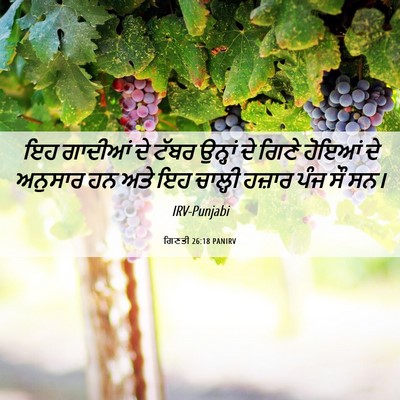 Picture 06 - ਗਿਣਤੀ 26:18 PANIRV - ਇਹ ਗਾਦੀਆਂ ਦੇ ਟੱਬਰ - Bible Verse Picture