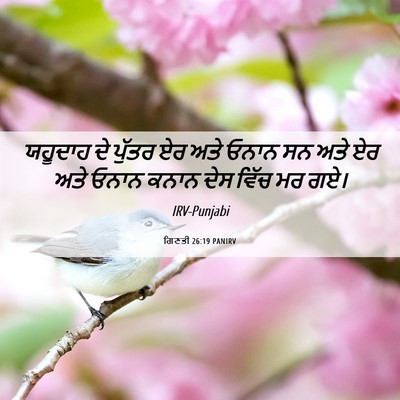 Picture 06 - ਗਿਣਤੀ 26:19 PANIRV - ਯਹੂਦਾਹ ਦੇ ਪੁੱਤਰ ਏਰ - Bible Verse Picture