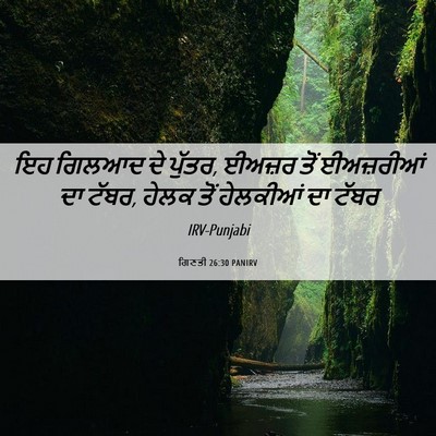 Picture 06 - ਗਿਣਤੀ 26:30 PANIRV - ਇਹ ਗਿਲਆਦ ਦੇ ਪੁੱਤਰ, - Bible Verse Picture