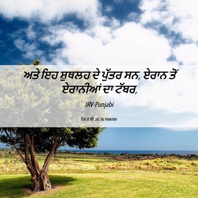 Picture 06 - ਗਿਣਤੀ 26:36 PANIRV - ਅਤੇ ਇਹ ਸ਼ੁਥਲਹ ਦੇ - Bible Verse Picture
