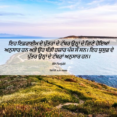 Picture 06 - ਗਿਣਤੀ 26:37 PANIRV - ਇਹ ਇਫ਼ਰਾਈਮ ਦੇ - Bible Verse Picture