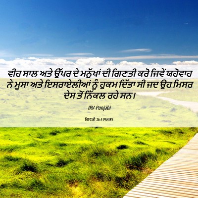 Picture 06 - ਗਿਣਤੀ 26:4 PANIRV - ਵੀਹ ਸਾਲ ਅਤੇ ਉੱਪਰ ਦੇ - Bible Verse Picture