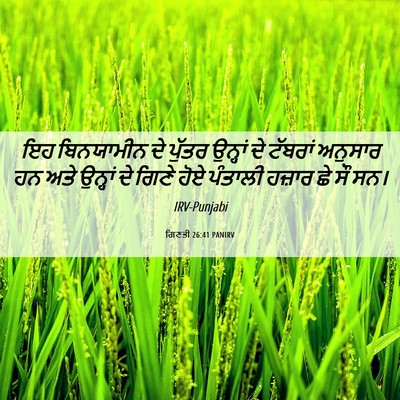 Picture 06 - ਗਿਣਤੀ 26:41 PANIRV - ਇਹ ਬਿਨਯਾਮੀਨ ਦੇ - Bible Verse Picture