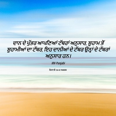Picture 06 - ਗਿਣਤੀ 26:42 PANIRV - ਦਾਨ ਦੇ ਪੁੱਤਰ - Bible Verse Picture