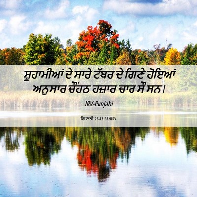 Picture 06 - ਗਿਣਤੀ 26:43 PANIRV - ਸ਼ੂਹਾਮੀਆਂ ਦੇ ਸਾਰੇ - Bible Verse Picture