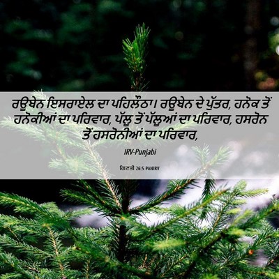 Picture 06 - ਗਿਣਤੀ 26:5 PANIRV - ਰਊਬੇਨ ਇਸਰਾਏਲ ਦਾ - Bible Verse Picture