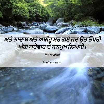 Picture 06 - ਗਿਣਤੀ 26:61 PANIRV - ਅਤੇ ਨਾਦਾਬ ਅਤੇ - Bible Verse Picture