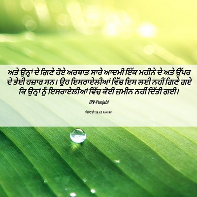Picture 06 - ਗਿਣਤੀ 26:62 PANIRV - ਅਤੇ ਉਨ੍ਹਾਂ ਦੇ ਗਿਣੇ - Bible Verse Picture