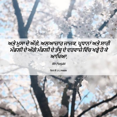 Picture 06 - ਗਿਣਤੀ 27:2 PANIRV - ਅਤੇ ਮੂਸਾ ਦੇ ਅੱਗੇ, - Bible Verse Picture