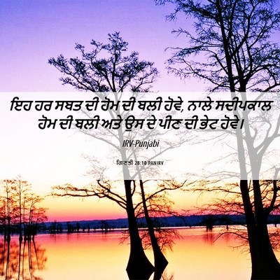 Picture 06 - ਗਿਣਤੀ 28:10 PANIRV - ਇਹ ਹਰ ਸਬਤ ਦੀ ਹੋਮ ਦੀ - Bible Verse Picture