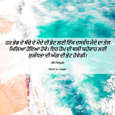 Picture 06 - ਗਿਣਤੀ 28:13 PANIRV - ਹਰ ਭੇਡ ਦੇ ਬੱਚੇ ਦੇ - Bible Verse Picture