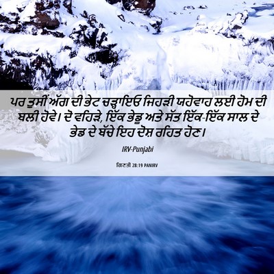 Picture 06 - ਗਿਣਤੀ 28:19 PANIRV - ਪਰ ਤੁਸੀਂ ਅੱਗ ਦੀ ਭੇਟ - Bible Verse Picture