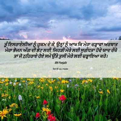 Picture 06 - ਗਿਣਤੀ 28:2 PANIRV - ਤੂੰ ਇਸਰਾਏਲੀਆਂ ਨੂੰ - Bible Verse Picture