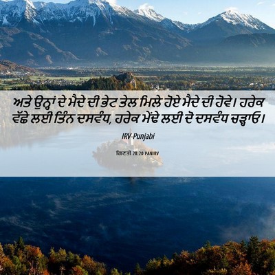 Picture 06 - ਗਿਣਤੀ 28:20 PANIRV - ਅਤੇ ਉਨ੍ਹਾਂ ਦੇ ਮੈਦੇ - Bible Verse Picture