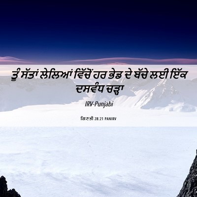 Picture 06 - ਗਿਣਤੀ 28:21 PANIRV - ਤੂੰ ਸੱਤਾਂ ਲੇਲਿਆਂ - Bible Verse Picture