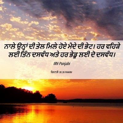 Picture 06 - ਗਿਣਤੀ 28:28 PANIRV - ਨਾਲੇ ਉਨ੍ਹਾਂ ਦੀ ਤੇਲ - Bible Verse Picture
