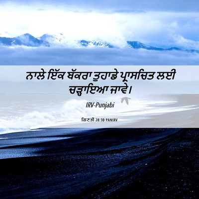 Picture 06 - ਗਿਣਤੀ 28:30 PANIRV - ਨਾਲੇ ਇੱਕ ਬੱਕਰਾ - Bible Verse Picture