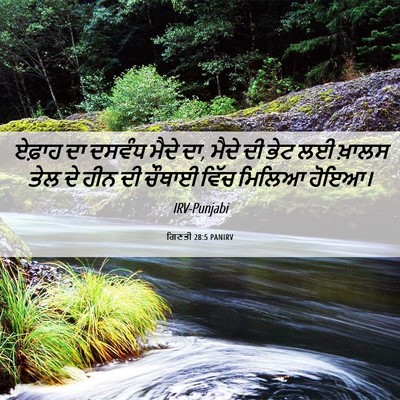 Picture 06 - ਗਿਣਤੀ 28:5 PANIRV - ਏਫ਼ਾਹ ਦਾ ਦਸਵੰਧ - Bible Verse Picture