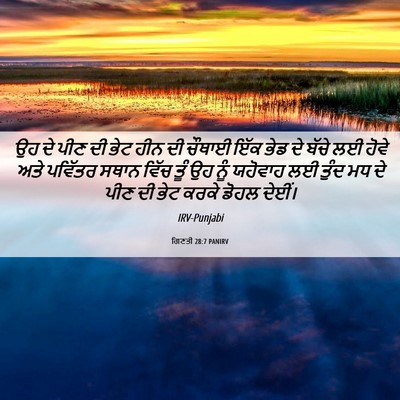 Picture 06 - ਗਿਣਤੀ 28:7 PANIRV - ਉਹ ਦੇ ਪੀਣ ਦੀ ਭੇਟ - Bible Verse Picture