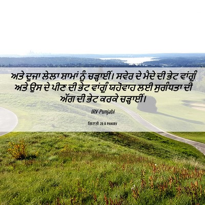Picture 06 - ਗਿਣਤੀ 28:8 PANIRV - ਅਤੇ ਦੂਜਾ ਲੇਲਾ - Bible Verse Picture