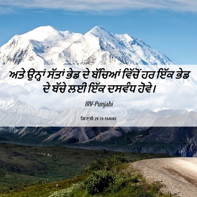 Picture 06 - ਗਿਣਤੀ 29:10 PANIRV - ਅਤੇ ਉਨ੍ਹਾਂ ਸੱਤਾਂ - Bible Verse Picture