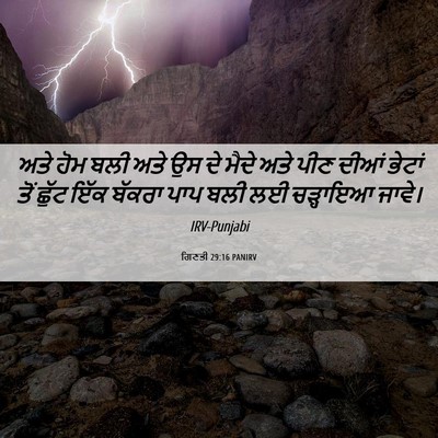 Picture 06 - ਗਿਣਤੀ 29:16 PANIRV - ਅਤੇ ਹੋਮ ਬਲੀ ਅਤੇ ਉਸ - Bible Verse Picture