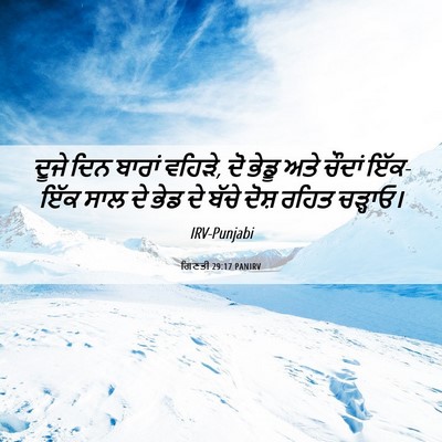 Picture 06 - ਗਿਣਤੀ 29:17 PANIRV - ਦੂਜੇ ਦਿਨ ਬਾਰਾਂ - Bible Verse Picture