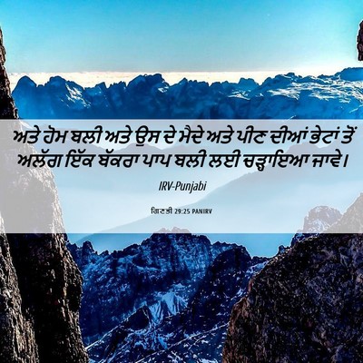 Picture 06 - ਗਿਣਤੀ 29:25 PANIRV - ਅਤੇ ਹੋਮ ਬਲੀ ਅਤੇ ਉਸ - Bible Verse Picture