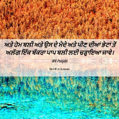 Picture 06 - ਗਿਣਤੀ 29:28 PANIRV - ਅਤੇ ਹੋਮ ਬਲੀ ਅਤੇ ਉਸ - Bible Verse Picture