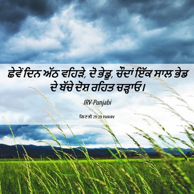 Picture 06 - ਗਿਣਤੀ 29:29 PANIRV - ਛੇਵੇਂ ਦਿਨ ਅੱਠ - Bible Verse Picture