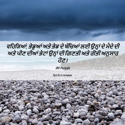 Picture 06 - ਗਿਣਤੀ 29:30 PANIRV - ਵਹਿੜਿਆਂ, ਭੇਡੂਆਂ - Bible Verse Picture