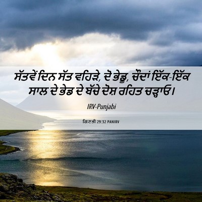 Picture 06 - ਗਿਣਤੀ 29:32 PANIRV - ਸੱਤਵੇਂ ਦਿਨ ਸੱਤ - Bible Verse Picture