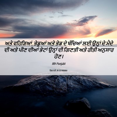 Picture 06 - ਗਿਣਤੀ 29:33 PANIRV - ਅਤੇ ਵਹਿੜਿਆਂ, - Bible Verse Picture