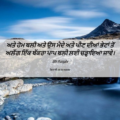 Picture 06 - ਗਿਣਤੀ 29:38 PANIRV - ਅਤੇ ਹੋਮ ਬਲੀ ਅਤੇ ਉਸ - Bible Verse Picture