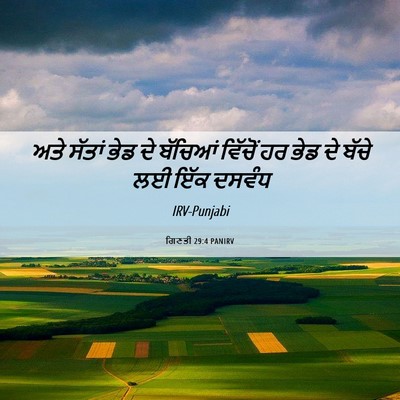 Picture 06 - ਗਿਣਤੀ 29:4 PANIRV - ਅਤੇ ਸੱਤਾਂ ਭੇਡ ਦੇ - Bible Verse Picture