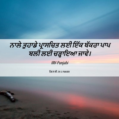 Picture 06 - ਗਿਣਤੀ 29:5 PANIRV - ਨਾਲੇ ਤੁਹਾਡੇ - Bible Verse Picture