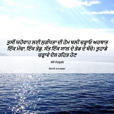 Picture 06 - ਗਿਣਤੀ 29:8 PANIRV - ਤੁਸੀਂ ਯਹੋਵਾਹ ਲਈ - Bible Verse Picture