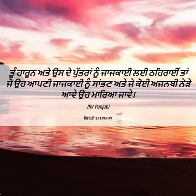 Picture 06 - ਗਿਣਤੀ 3:10 PANIRV - ਤੂੰ ਹਾਰੂਨ ਅਤੇ ਉਸ ਦੇ - Bible Verse Picture
