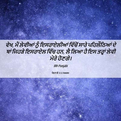 Picture 06 - ਗਿਣਤੀ 3:12 PANIRV - ਵੇਖ, ਮੈਂ ਲੇਵੀਆਂ ਨੂੰ - Bible Verse Picture